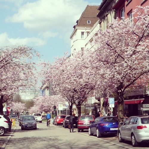 Essen Süd