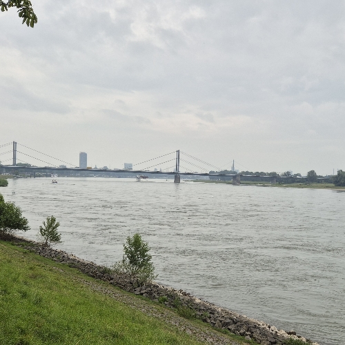 Düsseldorf verkauft ♡