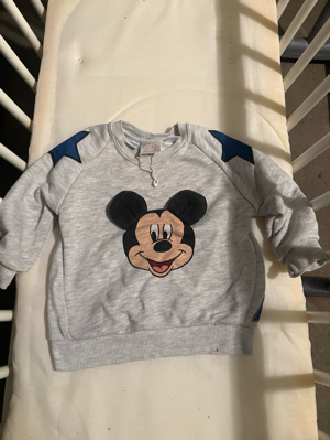 Micky mouse Pollover