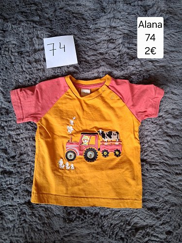 T-Shirt mit Bauernhof Print