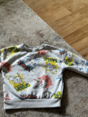 Pokémon Pulli