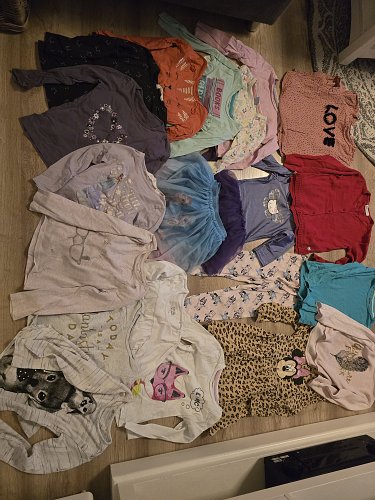 Set H&M Langarmshirt Bluey Frozen Eiskönigin Gr 110