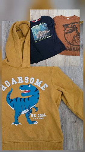 3 pulli Pullover dino T-Rex Langarmshirt Gr 122 for next boy