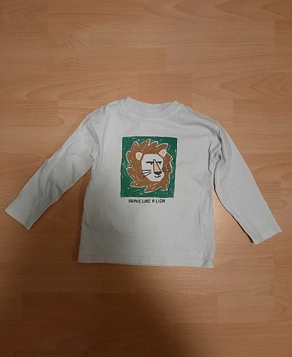 Kinder "Löwe" Pullover
