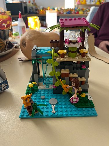 Lego Friends Dschungelstation