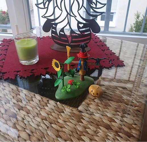 Farm Vogelscheuche "die Raben kommen" von Playmobil