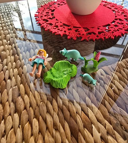Set Fairies "Feenfreunde Waschbären" von Playmobil