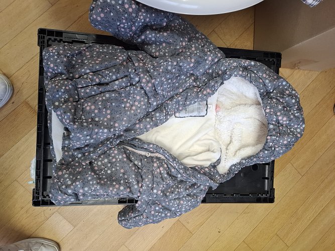 Winterjacke