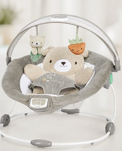 Ingenuity InLighten Bouncer™ Nate